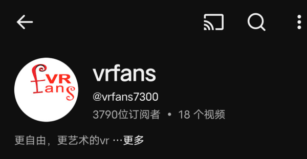 万能的大佬们，求vrfans