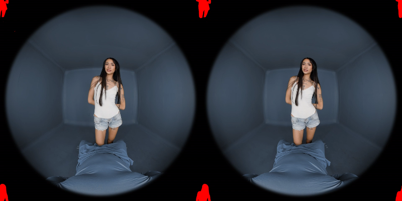 Date_Night_Passthrough_KatieCai_8K_original_p_ARPorn_FISHEYE190_alpha.mp4_115生.png