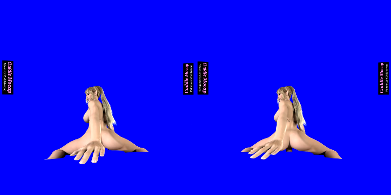Cuddle Mocap_Elven Sex With Artoria_Passthrough Version_2944p_LR_180.mp4_115生活.png