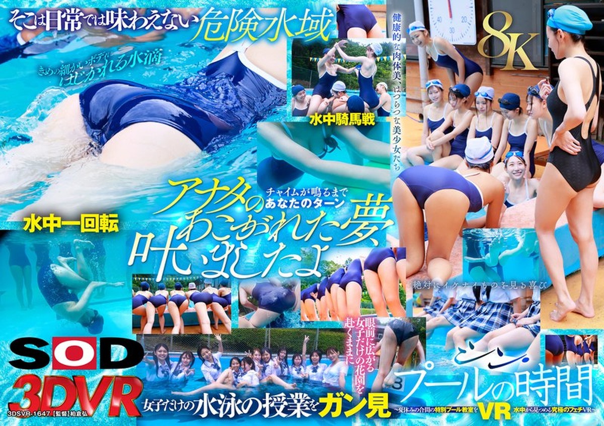 13dsvr01647pl.jpg