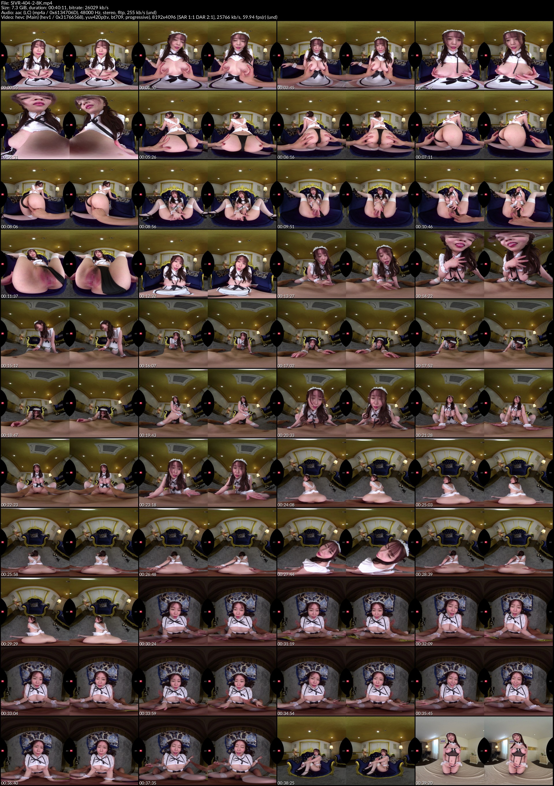 SIVR-404-2-8K_s.jpg