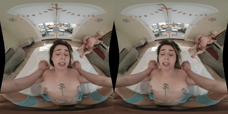 5.gif