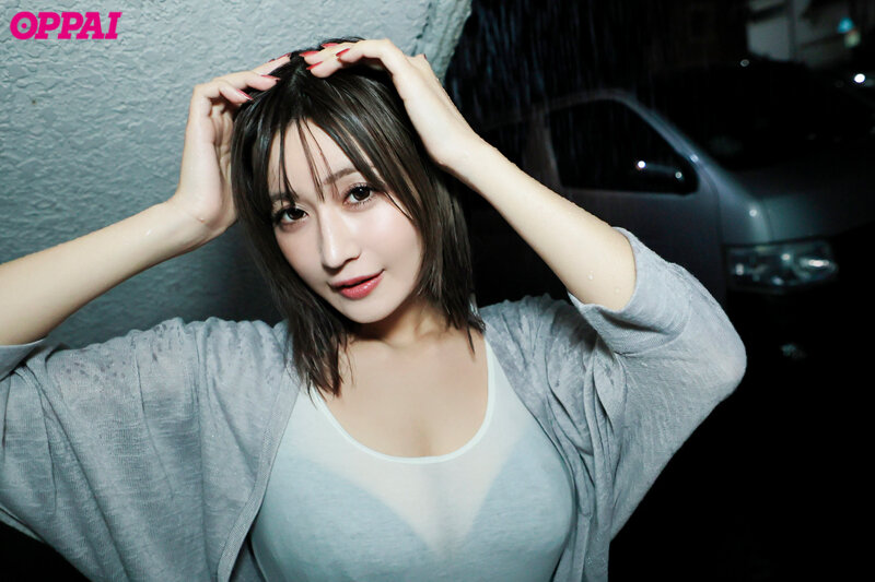 ppvr00026jp-2.jpg