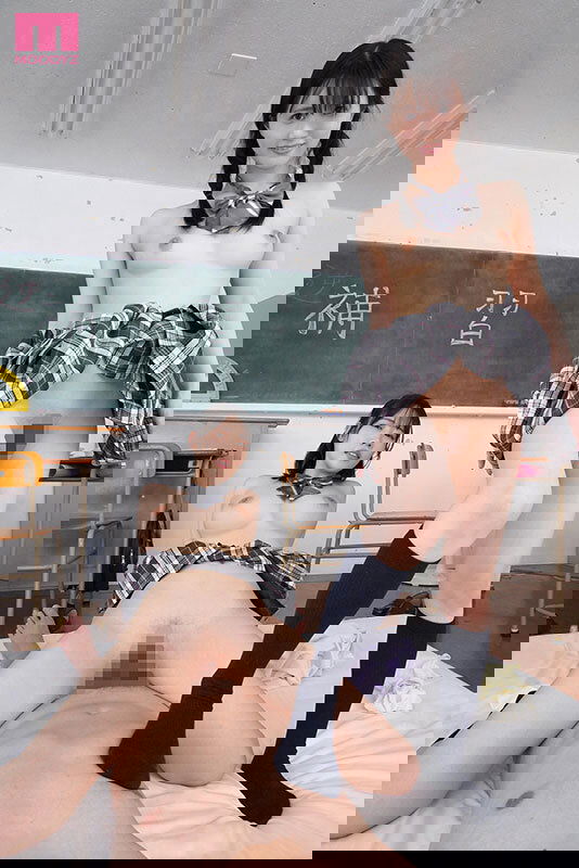 7048705.jpg