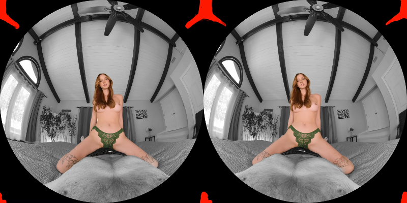 PassthroughVR_At_Melanies_Mercy_Passthrough_8K_FISHEYE190_ALPHA.mp4_115生活(曾用.png