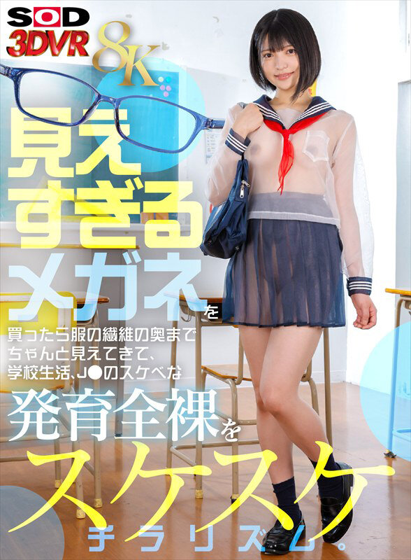 13dsvr01859jp-1.jpg
