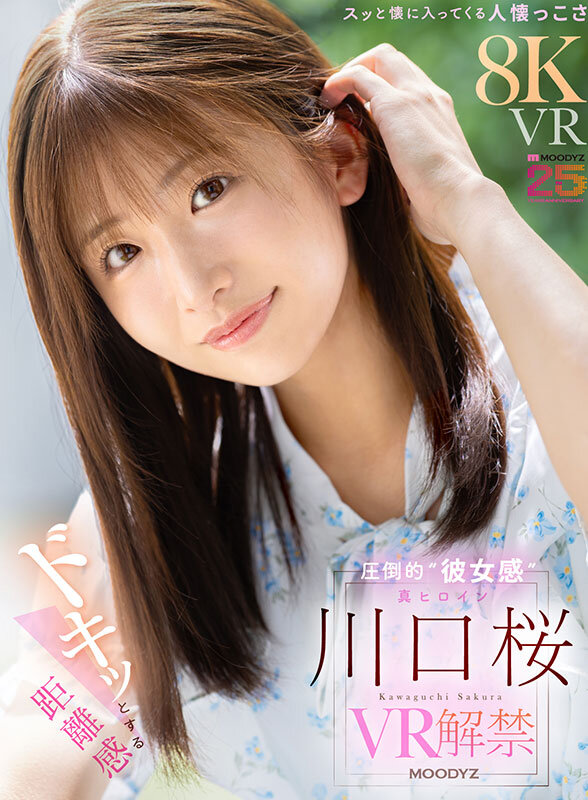 mdvr00381jp-1.jpg