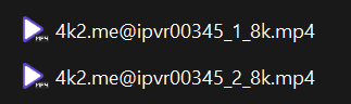 ipvr00345文件截图.png