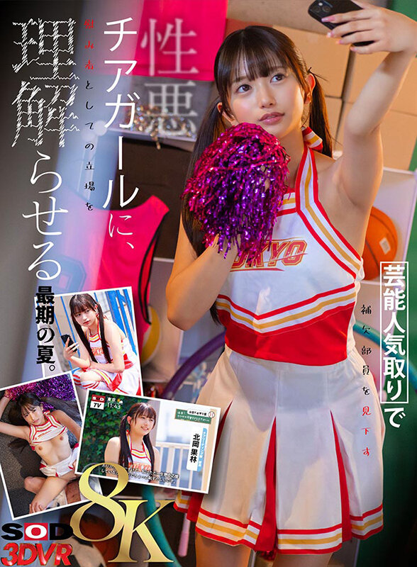 13dsvr01893jp-1.jpg