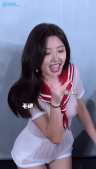 24010702060179869.gif