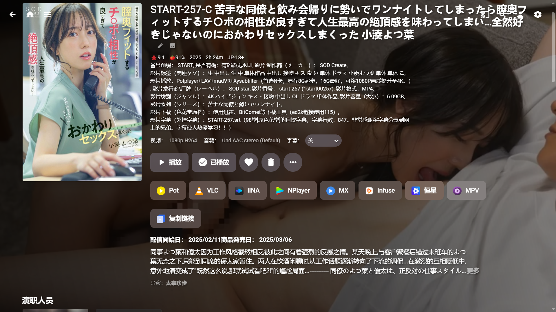 2（刮削后的部分截图）.png