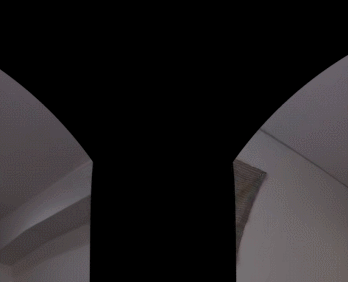 GIF 2026-5-29 9-08-01.gif