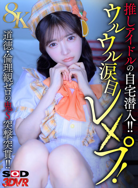 13dsvr02002jp-1.jpg